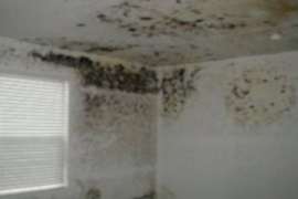 Tavandaki sar� is lekesi nas�l kapat�l�r?